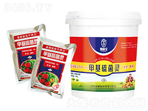 3%�׻�����`����--������