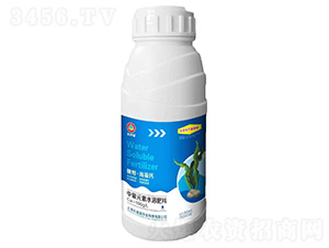 �Ǵ��������}-�w�֌�-��(l��)ϲʩ