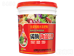 ̼ø�����-�����|�r(n��ng)