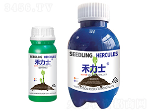 ���N��N��-����ʿ-�����|�r(n��ng)