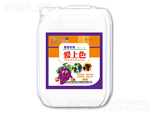 ���ь��Ð���ɫ-�е����r(n��ng)