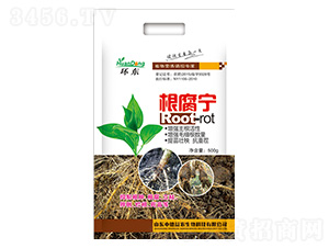 ������-�h(hu��n)�|-�е����r(n��ng)