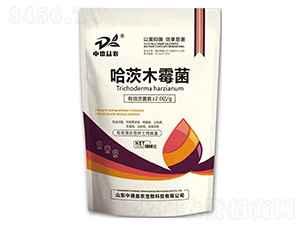 ����ľù��-�е����r(n��ng)