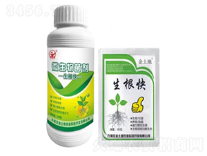 ������-������-�õ���