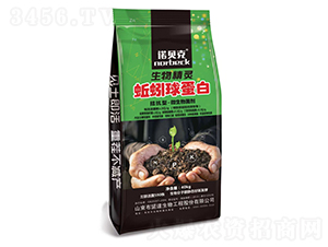 ����򵰰�-�Zؐ��-��ʢԪ