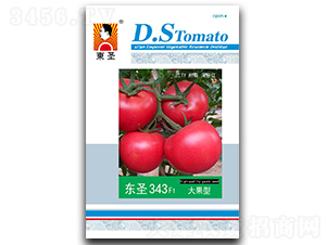 �|ʥ343-���ѷN��-�|ʥ