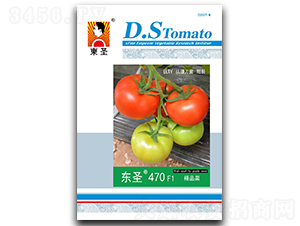 �|ʥ470-���ѷN��-�|ʥ