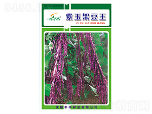 ����ܶ���-�ܶ��N��-�S�A�N�I(y��)