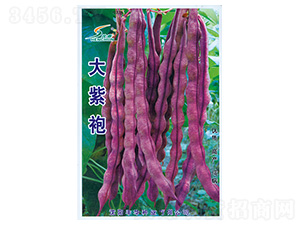 ������-�ܶ��N��-�S�A�N�I(y��)