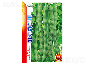 �ձ���Ƥ��-�ܶ��N��-�S�A�N�I(y��)