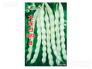 ���B��923-8-�ܶ��N��-�S�A�N�I(y��)