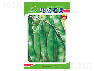 ����ü��-�ⶹ�N��-�S�A�N�I(y��)