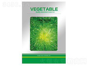 FINEBUSH-���ķN��-�S�A�N�I(y��)