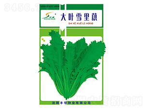 ���~ѩ��ޮ-ѩ��ޮ�N��-�S�A�N�I(y��)