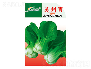 ���K����N��-�S�A�N�I(y��)