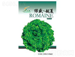 �GʢԽ������-���˷N��-�S�A�N�I(y��)