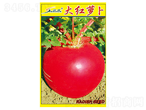 ��t�}��-�}���N��-�S�A�N�I(y��)