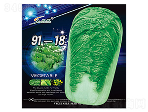 91-18-�ײ˷N��-�S�A�N�I(y��)