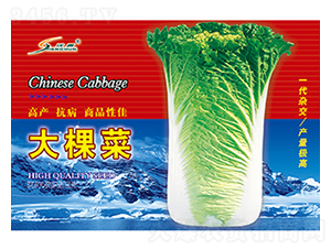 ��ò�-�ײ˷N��-�S�A�N�I(y��)