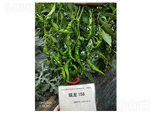 ����158-�����N��-����N��