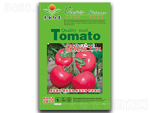 ���Ѱ���F1���t���N��-���J�tϲ