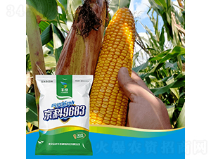 ����9683-���׷N��-�S�ȸ߿�