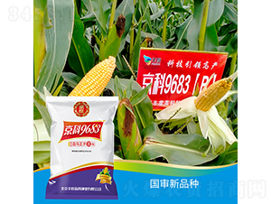 ����9683-B-���׷N��-�S�ȸ߿�