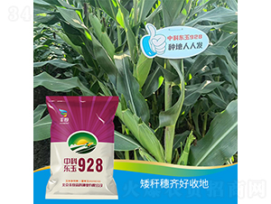 �пƖ|��928-���׷N��-�S�ȸ߿�