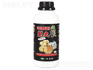 �ʴ��-�۸���