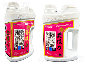 �l(f��)����-�۸���