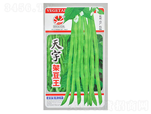 ����ܶ���-�ܶ��N��