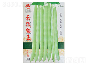 ��피ܶ�-�ܶ��N��