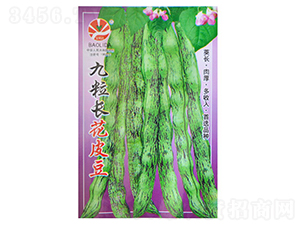 �����L��Ƥ��-�ܶ��N��