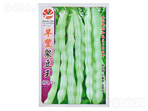 ���S�ܶ���-�ܶ��N��