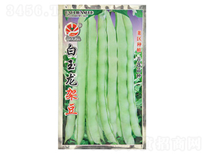 �������ܶ�-�|���N��