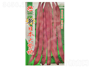 ���ձ�������-�|���N��