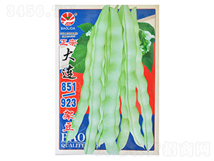 ���B851��923�ܶ�-�|���N��