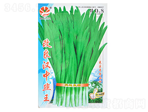 �����h�о���-�²˷N��