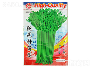 ����U����-����N��