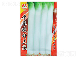 �F�U���[-���[�N��