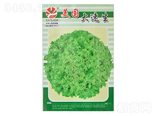 ����������-�~�˷N��