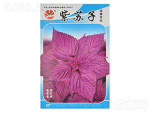 ���K��-�~�˷N��