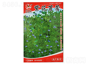 �ϻ���ޣ-�~�˷N��