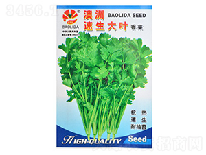 �����������~��˷N��-�~�˷N��