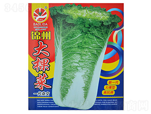 �\�ݴ�ò�-��˷N��