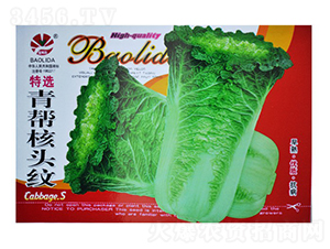 ���ͺ��^�y-��˷N��