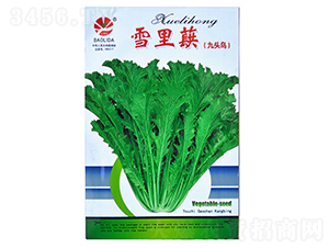 ѩ��ޮ-��˷N��