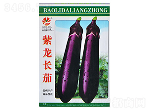 �����L��-�ϹϷN��