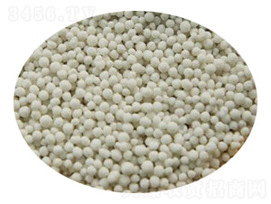 ��ʧ����-���B��