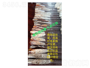 �ȟ��Ԃ���ù-б��ԇ�ܾ��N-�Ű�����